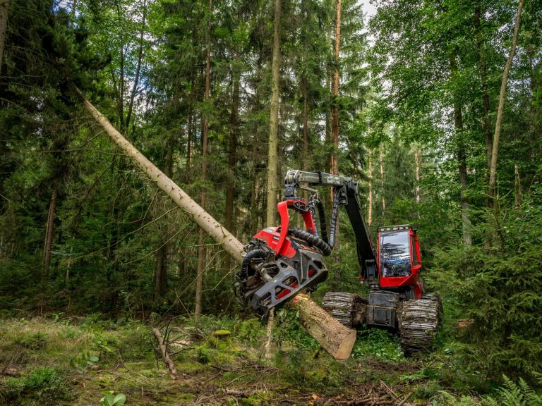 Holzrückung im Privatwald, Thüringen Roter Holztransporter mit gestapelten Baumstämmen in einem Waldgebiet.