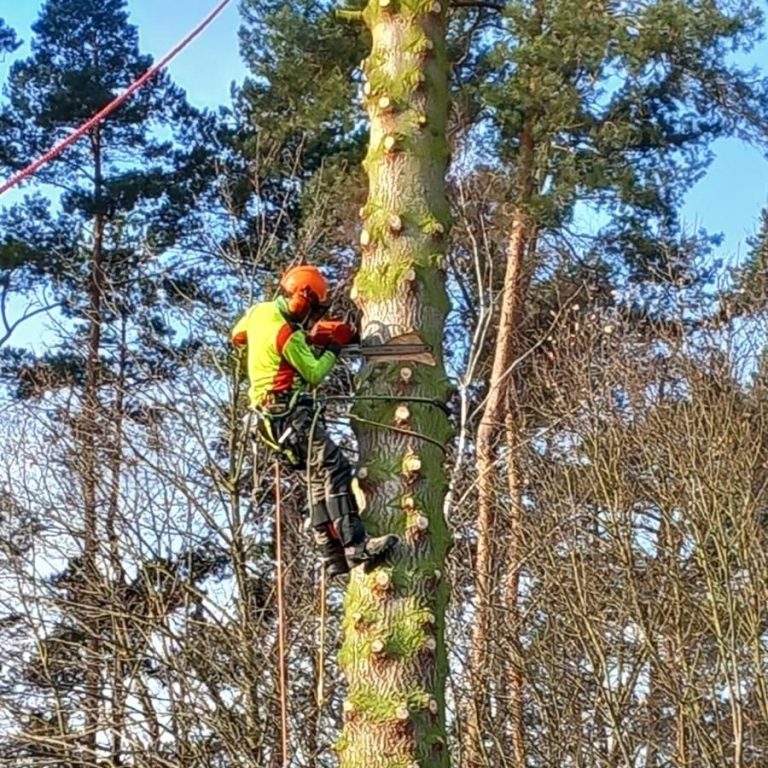Ein grünes Rasenmäherfahrzeug steht auf einer Wiese neben einem Wohngebäude.