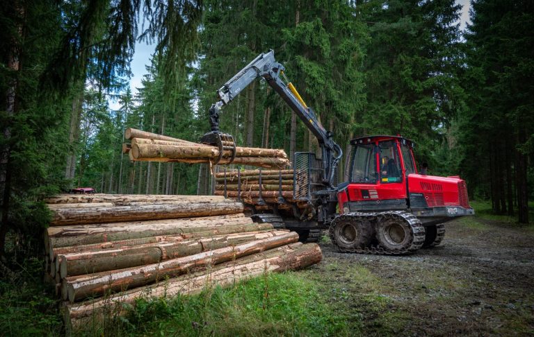 Holzrückung im Leinawald, Thüringen Roter Forwarder steht im Wald mit einem Anhänger voller Baumstämme.