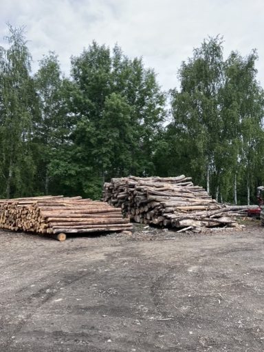Hölzerne Baumstämme, gestapelt auf einem Grundstück unter bewölktem Himmel.