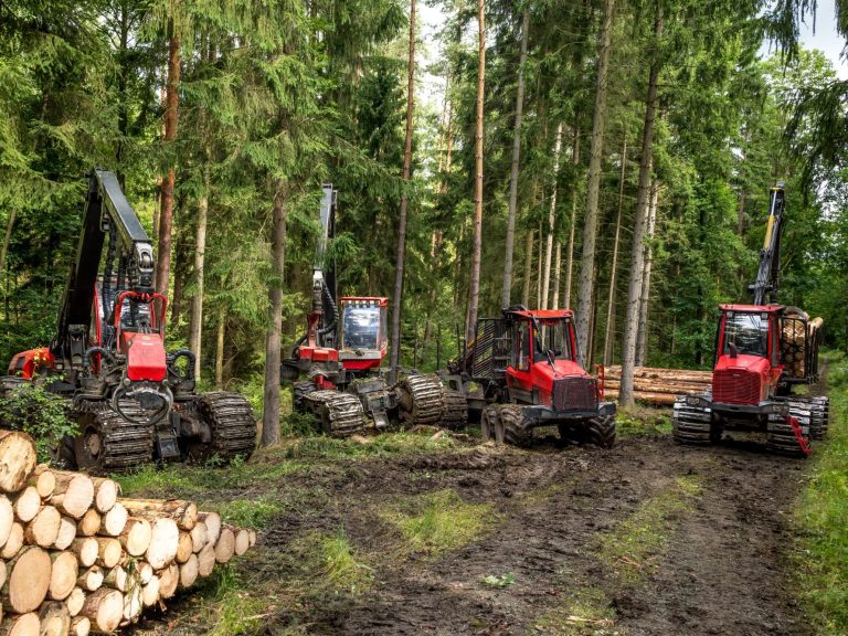 Forstbetrieb Greschok, Sachsen, Thüringen Roter Harvester und Holzerntegerät im Wald auf einem steinigen Gelände.